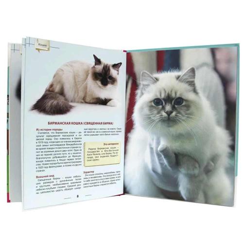 Книга Энциклопедия для детей Кошки Проф-Пресс ПП-00169845 фото 2