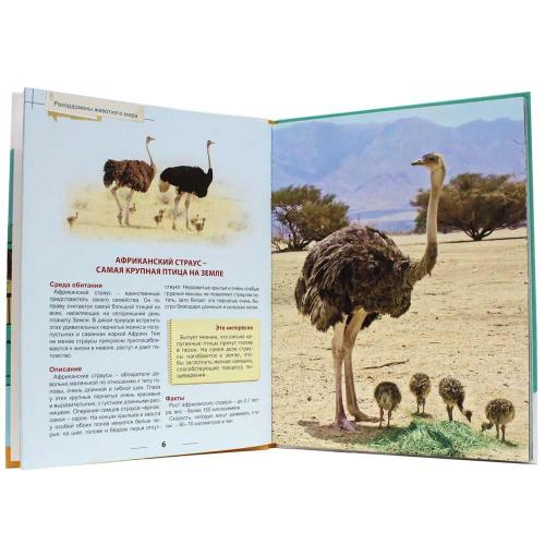 Книга Энциклопедия для детей Рекордсмены животного мира Проф-Пресс ПП-00169857 фото 2